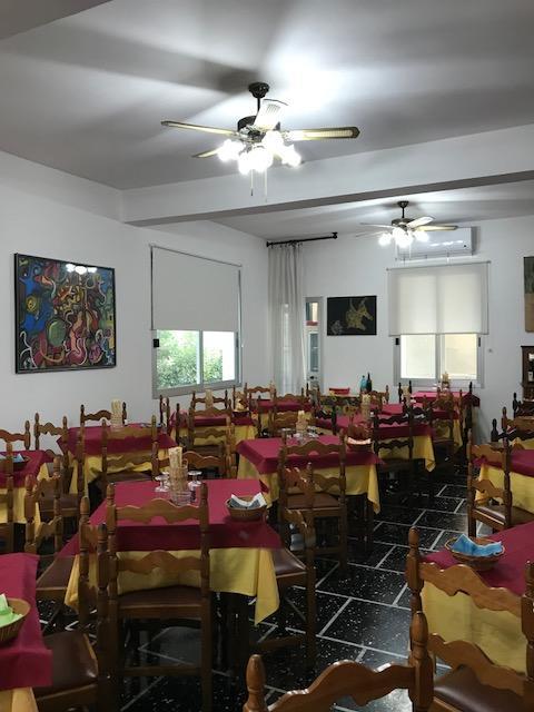 Miro Cattolica